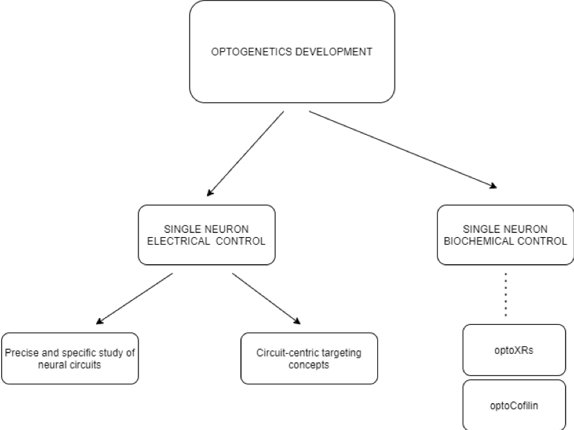 Figure 2: Chart showing developments made using optogenetics.